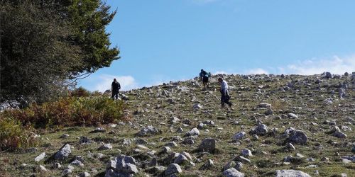 Un'indimenticabile giornata a Camposauro!