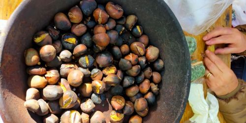 Vitulano celebra i suoi sapori: la Sagra della Castagna e del Pecorino 2025 Vitulano celebra i suoi sapori: la Sagra della Castagna e del Pecorino 2025