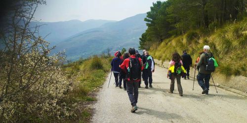 Trekking di Primavera sul Camposauro: natura, panorami e aria aperta Trekking di Primavera sul Camposauro: natura, panorami e aria aperta