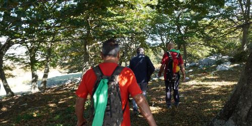 Al via il 2 Maggio Al via il 2 Maggio