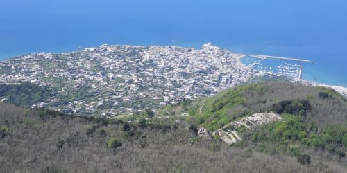 Sul Monte Epomeo: un’esperienza tra natura e panorami unici Sul Monte Epomeo: un’esperienza tra natura e panorami unici